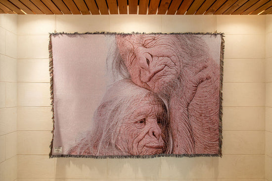 ALPHA60 X PATRICIA PICCININI / SANCTUARY