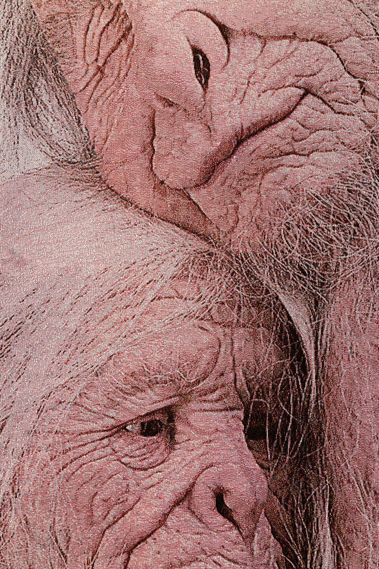 ALPHA60 X PATRICIA PICCININI / SANCTUARY