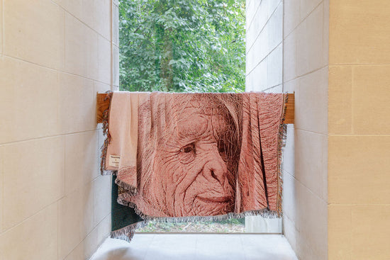 ALPHA60 X PATRICIA PICCININI / SANCTUARY
