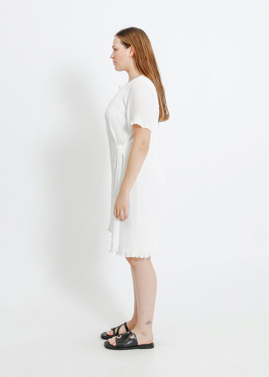 CHARLOTTE PLEAT DRESS / WHITE
