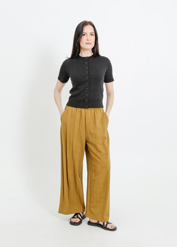 HALEN PANT / DIJON
